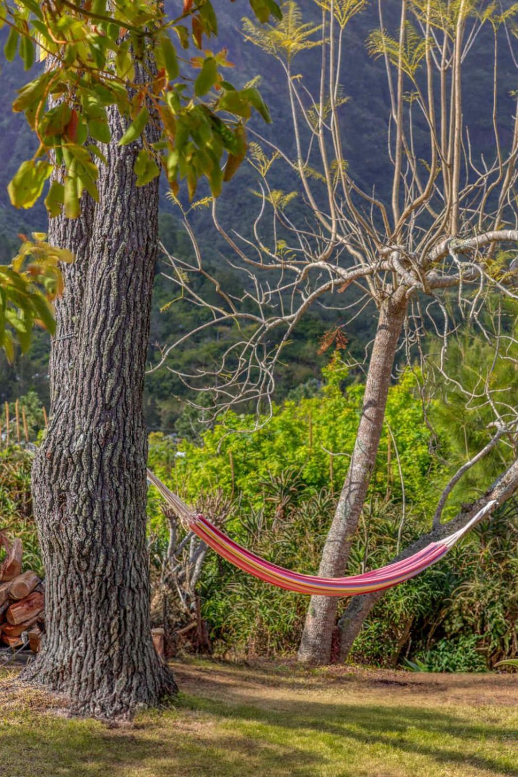 La Villa Soalic Cilaos Luaran gambar